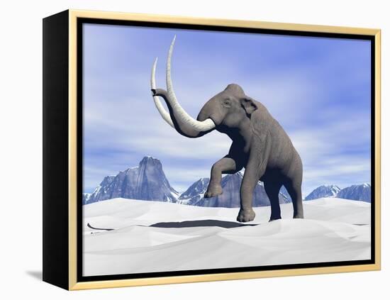Large Mammoth Walking Slowly on the Snowy Mountain-null-Framed Stretched Canvas