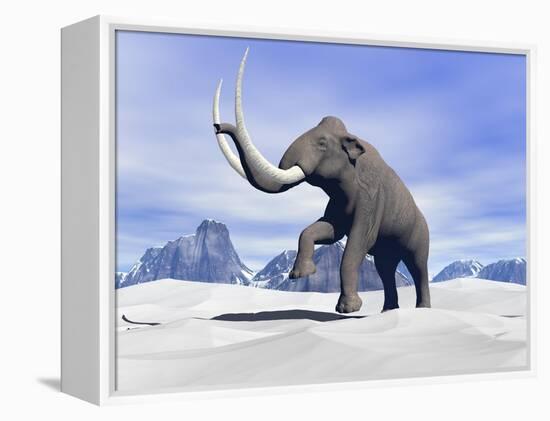 Large Mammoth Walking Slowly on the Snowy Mountain-null-Framed Stretched Canvas