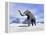 Large Mammoth Walking Slowly on the Snowy Mountain-null-Framed Stretched Canvas