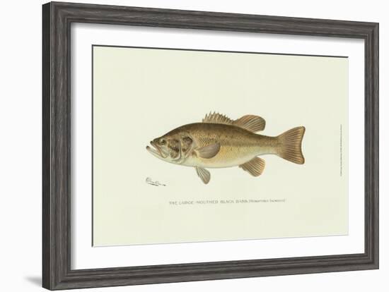 Large-Mouthed Black Bass-Denton-Framed Art Print