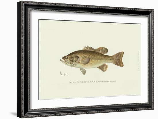 Large-Mouthed Black Bass-Denton-Framed Art Print