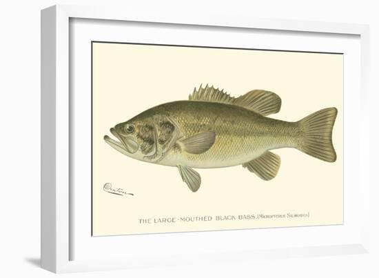 Large-Mouthed Black Bass-Denton-Framed Art Print