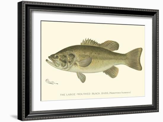 Large-Mouthed Black Bass-Denton-Framed Art Print