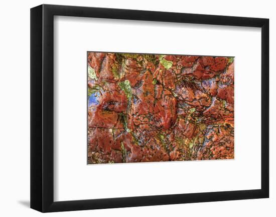 Large, naturally polished rock with lichen. Lower Deschutes River, Central Oregon, USA-Stuart Westmorland-Framed Photographic Print