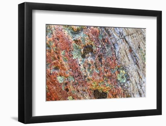 Large naturally polished rock with lichen, Lower Deschutes River, Central Oregon, USA-Stuart Westmorland-Framed Photographic Print