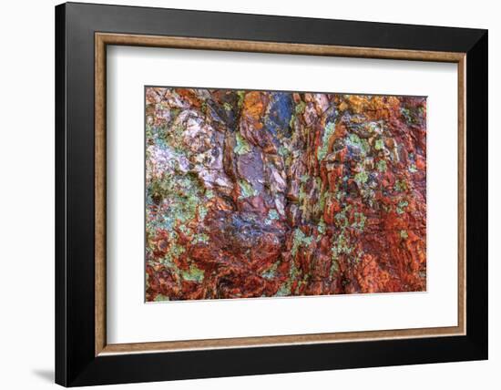 Large naturally polished rock with lichen, Lower Deschutes River, Central Oregon, USA-Stuart Westmorland-Framed Photographic Print