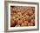 Large Number of Pumpkins for Sale on a Farm in St. Joseph, Missouri, USA, North America-Simon Montgomery-Framed Photographic Print