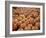 Large Number of Pumpkins for Sale on a Farm in St. Joseph, Missouri, USA, North America-Simon Montgomery-Framed Photographic Print