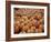 Large Number of Pumpkins for Sale on a Farm in St. Joseph, Missouri, USA, North America-Simon Montgomery-Framed Photographic Print