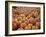 Large Number of Pumpkins for Sale on a Farm in St. Joseph, Missouri, USA, North America-Simon Montgomery-Framed Photographic Print