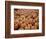 Large Number of Pumpkins for Sale on a Farm in St. Joseph, Missouri, USA, North America-Simon Montgomery-Framed Photographic Print