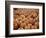 Large Number of Pumpkins for Sale on a Farm in St. Joseph, Missouri, USA, North America-Simon Montgomery-Framed Photographic Print