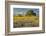 Large oak tree in expansive meadow of bluebonnets and paintbrush, Texas hill country, near Llano, T-Adam Jones-Framed Photographic Print