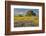 Large oak tree in expansive meadow of bluebonnets and paintbrush, Texas hill country, near Llano, T-Adam Jones-Framed Photographic Print