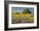 Large oak tree in expansive meadow of bluebonnets and paintbrush, Texas hill country, near Llano, T-Adam Jones-Framed Photographic Print