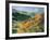 Large Panoramic View I-Boscoe Holder-Framed Premium Giclee Print