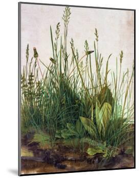 Large Piece of Turf, 1503-Albrecht Dürer-Mounted Giclee Print