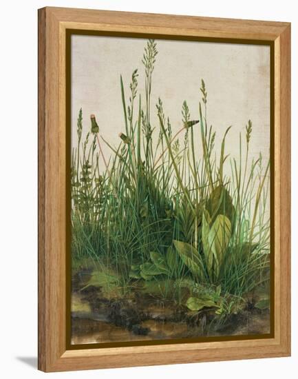 Large Piece of Turf, 1503-Albrecht Dürer-Framed Premier Image Canvas