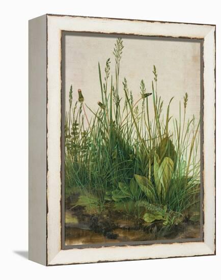 Large Piece of Turf, 1503-Albrecht Dürer-Framed Premier Image Canvas