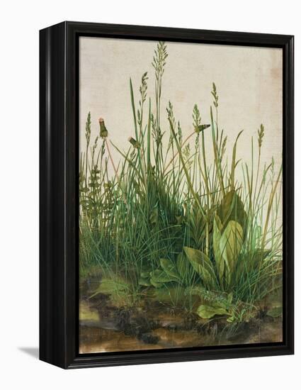 Large Piece of Turf, 1503-Albrecht Dürer-Framed Premier Image Canvas