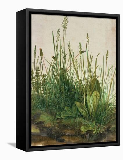 Large Piece of Turf, 1503-Albrecht Dürer-Framed Premier Image Canvas