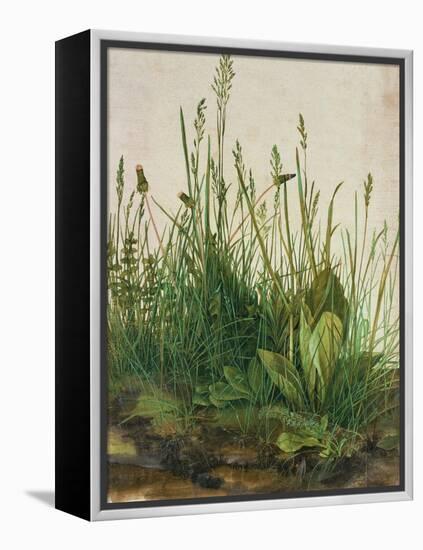 Large Piece of Turf, 1503-Albrecht Dürer-Framed Premier Image Canvas