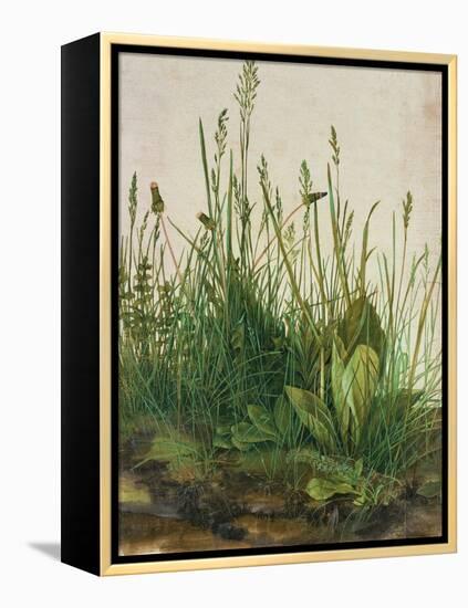 Large Piece of Turf, 1503-Albrecht Dürer-Framed Premier Image Canvas