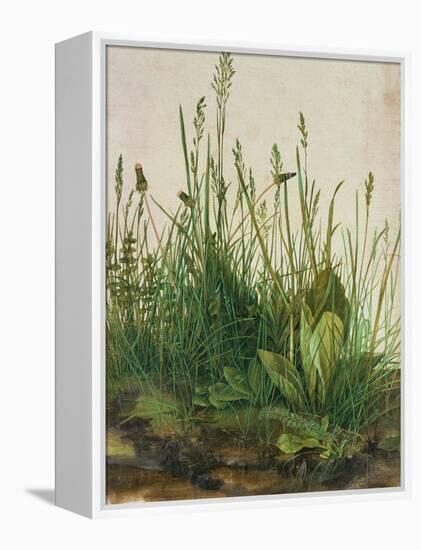 Large Piece of Turf, 1503-Albrecht Dürer-Framed Premier Image Canvas