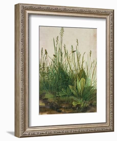 Large Piece of Turf, 1503-Albrecht Dürer-Framed Giclee Print