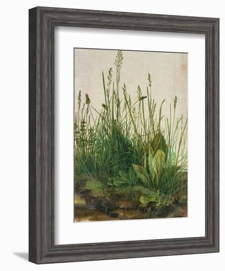 Large Piece of Turf, 1503-Albrecht Dürer-Framed Giclee Print