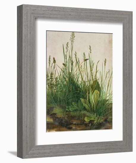 Large Piece of Turf, 1503-Albrecht Dürer-Framed Giclee Print