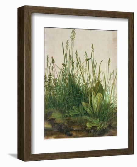 Large Piece of Turf, 1503-Albrecht Dürer-Framed Giclee Print