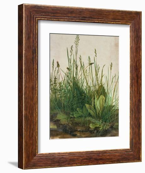 Large Piece of Turf, 1503-Albrecht Dürer-Framed Giclee Print