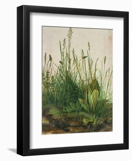 Large Piece of Turf, 1503-Albrecht Dürer-Framed Giclee Print