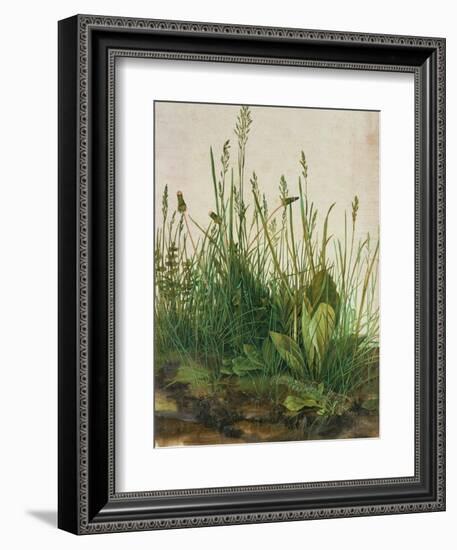 Large Piece of Turf, 1503-Albrecht Dürer-Framed Giclee Print