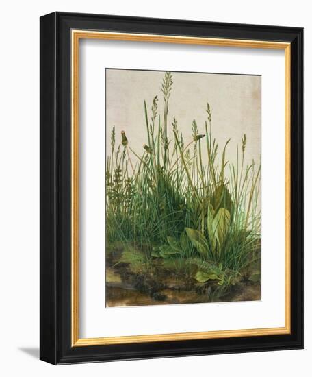 Large Piece of Turf, 1503-Albrecht Dürer-Framed Giclee Print