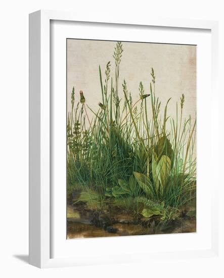 Large Piece of Turf, 1503-Albrecht Dürer-Framed Premium Giclee Print