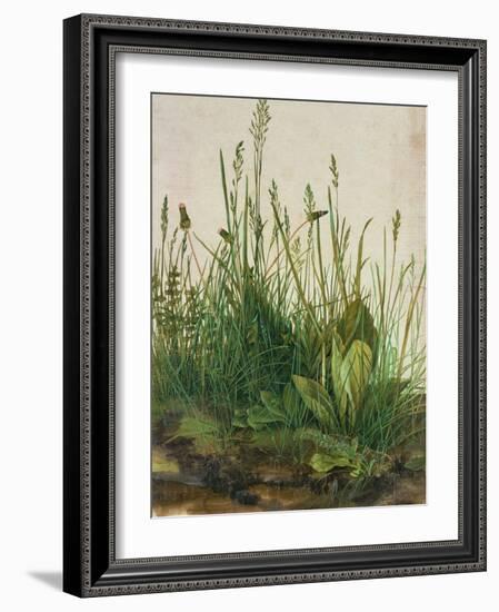 Large Piece of Turf, 1503-Albrecht Dürer-Framed Premium Giclee Print