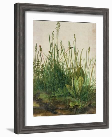 Large Piece of Turf, 1503-Albrecht Dürer-Framed Giclee Print