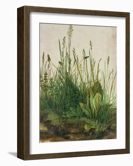 Large Piece of Turf, 1503-Albrecht Dürer-Framed Giclee Print