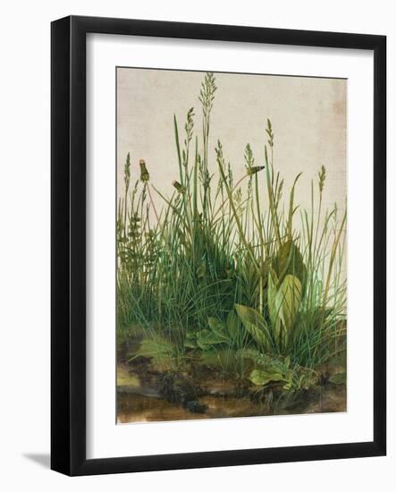 Large Piece of Turf, 1503-Albrecht Dürer-Framed Giclee Print