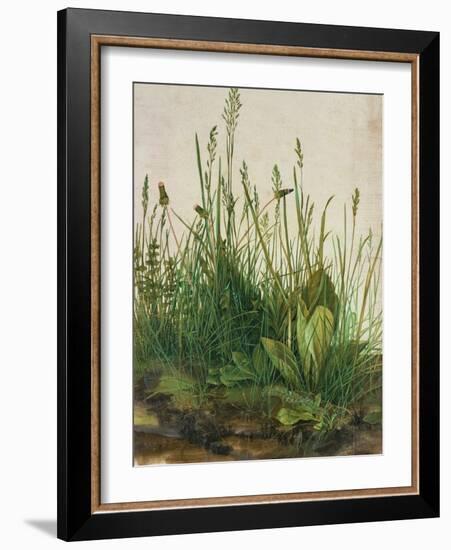 Large Piece of Turf, 1503-Albrecht Dürer-Framed Giclee Print