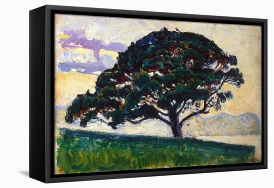 Large Pine, Saint-Tropez, 1892-1893-Paul Signac-Framed Premier Image Canvas