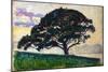 Large Pine, Saint-Tropez, 1892-1893-Paul Signac-Mounted Giclee Print
