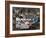 Large Quantity of Laundry Hanging from the Balcony of a Crumbling Building, Habana Vieja, Cuba-Eitan Simanor-Framed Photographic Print