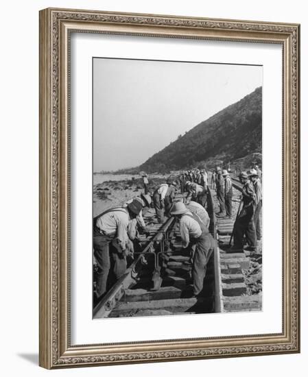 Large Railroad Crews Prying Up Track and Putting in Switch on Railroad Running Through Cajon Pass-Peter Stackpole-Framed Photographic Print