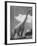 Large Statue of Dinosaur in "Dinosaur Park" Tourist Attraction-Alfred Eisenstaedt-Framed Photographic Print