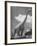 Large Statue of Dinosaur in "Dinosaur Park" Tourist Attraction-Alfred Eisenstaedt-Framed Photographic Print