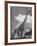 Large Statue of Dinosaur in "Dinosaur Park" Tourist Attraction-Alfred Eisenstaedt-Framed Photographic Print