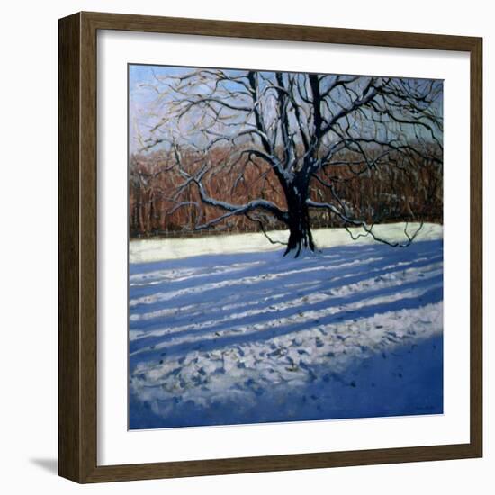 Large Tree, Snow, Calke Abbey-Andrew Macara-Framed Giclee Print